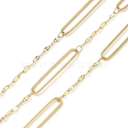 304 Stainless Steel Dapped Chains, Ion Plating(IP), Soldered, with Spool, Real 18K Gold Plated, 30x5.5x1mm, 10m/roll(CHS-C015-01G)