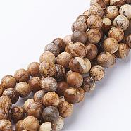 Gemstone Beads Strands, Natural Picture Jasper, Round, about 8mm in diameter, hole: about 1mm, 15~16 inch(GSR016)