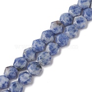 Natural Blue Spot Jasper Beads Strands, Faceted Hexagonal Cut, Hexagon, 8~8.5x9~9.5x4~4.5mm, Hole: 1mm, about 25pcs/strand, 8.11''(20.6cm)(G-K359-C17-01)