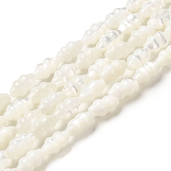 Natural Trochus Shell Beads Strands, Gourd, Floral White, 9x5x5mm, Hole: 1mm, about 42pcs/strand, 14.61''(37.1cm)