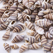 Natural Spiral Shell Beads, Turritella Shell, Undrilled/No Hole Beads, Rosy Brown, 10~20x5~11x5~9mm(SSHEL-S258-84)