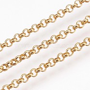 Ion Plating(IP) Handmade 304 Stainless Steel Rolo Chains, Unwelded, with Spool, Golden, 2.5x1mm, about 32.8 Feet(10m)/roll(STAS-P200-24G)
