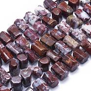 Natural Red Lightning Agate Beads Strands, Hexagonal Prism, 11~14x7~11mm, Hole: 0.5mm, about 41pcs/strand, 16.5 inch~16.9 inch(42~43)(G-K293-J15-C)