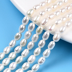 Natural Cultured Freshwater Pearl Beads Strands, Rice, Seashell Color, 6~6.5x4~5mm, Hole: 0.7mm, about 51pcs/strand, 13.78 inch(35cm)(PEAR-N012-04H)
