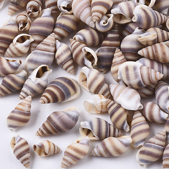 Natural Spiral Shell Beads, Turritella Shell, Undrilled/No Hole Beads, Rosy Brown, 10~20x5~11x5~9mm