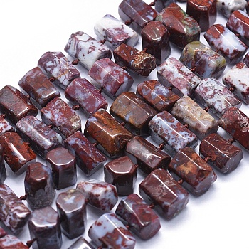 Natural Red Lightning Agate Beads Strands, Hexagonal Prism, 11~14x7~11mm, Hole: 0.5mm, about 41pcs/strand, 16.5 inch~16.9 inch(42~43)