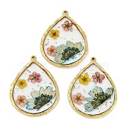 Ion Plating(IP) 304 Stainless Steel Pendants, with Epoxy Resin and Dried Flowers, Teardrop, Real 18K Gold Plated, 42x32x2.5mm, Hole: 1.4mm(STAS-D193-11G-03)