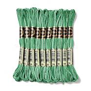 10 Skeins 6-Ply Polyester Embroidery Floss, Cross Stitch Threads, Segment Dyed, Sea Green, 0.5mm, about 8.75 Yards(8m)/skein(OCOR-K006-A25)