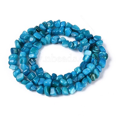 Natural Freshwater Shell Beads Strands(SHEL-N037-04I)-2