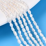 Natural Cultured Freshwater Pearl Beads Strands, Rice, Creamy White, 2~5x2~2.5mm, Hole: 0.3~0.4mm, about 45~47pcs/strand, 7.09~7.28''(18~18.5cm)(PEAR-T006-10)