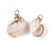 Natural Sea Shell Pendants, Shell Shaped Charms with Golden Tone Iron Loops, Seashell Color, 15~22x9~16.5x7~13mm, Hole: 2~2.5mm(SSHEL-N038-43)