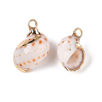 Natural Sea Shell Pendants, Shell Shaped Charms with Golden Tone Iron Loops, Seashell Color, 15~22x9~16.5x7~13mm, Hole: 2~2.5mm