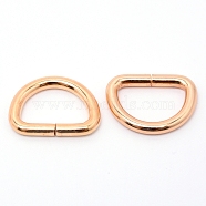 Iron D Rings, Buckle Clasps, For Webbing, Strapping Bags, Garment Accessories, Light Gold, 20x27x3.8mm(IFIN-WH0061-03D-LG)
