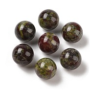 Natural Dragon Blood No Hole Sphere Beads, Round, 16mm(G-K363-04D-39)