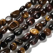 Natural Tiger Eye Beads Strands, Nuggets, Tumbled Stone, Mixed Dyed and Undyed, Mixed Color, 7~13x4.5~10x4.5~10mm, Hole: 1.2mm, about 44~46pcs/strand, 15.08''~16.14''(38.3~41cm)(G-P497-01E-46)