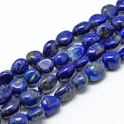 Natural Lapis Lazuli Beads Strands, Oval, 6~10x4~7x4~7mm, Hole: 1mm, about 43~62pcs/strand, 15.7 inch(G-R445-6x8-35)