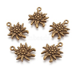 Tibetan Style Alloy Pendants, Cadmium Free & Nickel Free & Lead Free, Edelweiss, Antique Bronze, 21x16x2.5mm, Hole: 1mm(X-TIBEP-A113357-AB-FF)