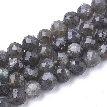 Natural Labradorite Beads Strands, Faceted, Round, 5.5~6x6mm, Hole: 1mm, about 32pcs/strand, 7.48 inch