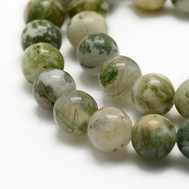 Natural Tree Agate Beads Strands(G-K194-10mm-02)-4
