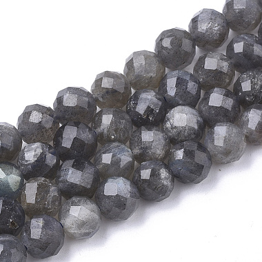 Natural Labradorite Beads Strands(G-S345-6mm-005)-1
