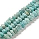 amazonite naturelles brins de perles(G-N327-05-08)-1