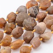 Raw Rough Natural Yellow Botswana Agate Beads Strands, Nuggets, 20~35x13~30x13~26mm, Hole: 1mm, about 13~14pcs/strand, 15.9 inch~16.1 inch(G-D833-08)