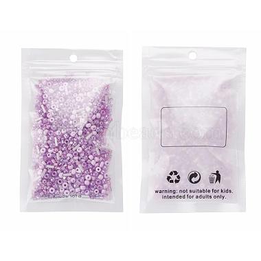 Glass Seed Beads(X-SEED-S059-009)-8
