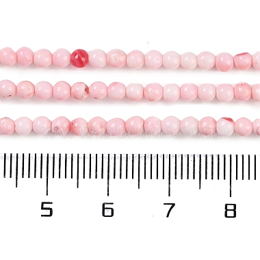 Natural Freshwater Shell Beads Strands(BSHE-H109-14)-5