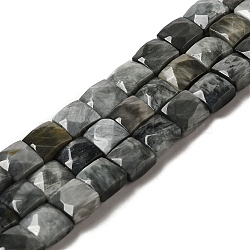 Natural Eagle Eye Stone Beads Strands, Faceted, Square, 9~10.5x9~10.5x5~5.5mm, Hole: 1mm, about 39~42pcs/strand, 14.96~15.35 inch (38~39cm)(G-C109-A15-02)