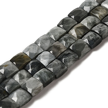 Natural Eagle Eye Stone Beads Strands, Faceted, Square, 9~10.5x9~10.5x5~5.5mm, Hole: 1mm, about 39~42pcs/strand, 14.96~15.35 inch (38~39cm)
