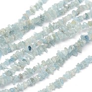 Chips Natural Aquamarine Beads Strands, 3~8x3~12x3~5mm, Hole: 1mm, about 32 inch(G-N0164-51)