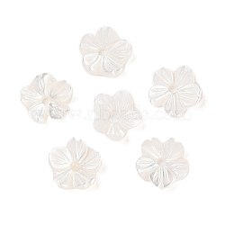 Natural White Shell Beads, Flower, Seashell Color, 6x6x2mm, Hole: 0.9mm(SSHEL-C012-23A)