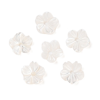 Natural White Shell Beads, Flower, Seashell Color, 6x6x2mm, Hole: 0.9mm