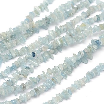 Chips Natural Aquamarine Beads Strands, 3~8x3~12x3~5mm, Hole: 1mm, about 32 inch