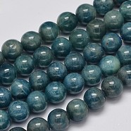 Round Natural Apatite Beads Strands, Grade AB+, 8mm, Hole: 1mm, about 51pcs/strand, 15.7 inch(G-K068-01-8mm)