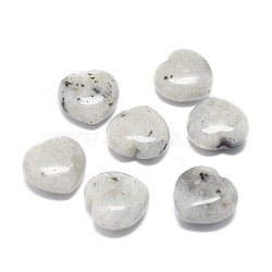 Natural Labradorite Heart Love Palm Worry Stone, Healing Crystal, 19~20x19~20x10.5mm(G-H268-F02-A)