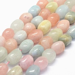 Natural Morganite Beads Strands, Oval, 15~18x11~14mm, Hole: 1.2mm, about 23pcs/strand, 15.5 inch(G-K285-14A)