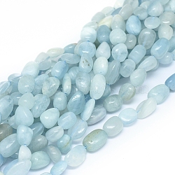 Natural Aquamarine Beads Strands, Chip, 7~14x7~8x3.5~7mm, Hole: 0.7mm, about 44pcs/Strand, 15.75 inch(40cm) (G-D0004-A02-04)