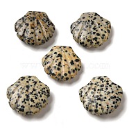 Natural Dalmatian Jasper Carved Healing Shell Figurines, Reiki Energy Stone Display Decorations, 30~30.5x30x8~8.5mm(G-K353-03H)