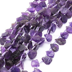 Natural Amethyst Beads Strands, Teardrop, 12~20x5~15x3~7mm, Hole: 0.8mm, about 24pcs/strand, 15.04''(38.2cm)(G-E569-R07)