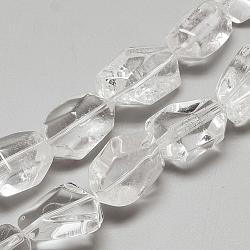 Natural Quartz Crystal Beads Strands, Rock Crystal Beads, Nuggets, 20~27x15~19x13~15mm, Hole: 1.5mm, about 15~20pcs/strand, 15.7 inch(G-R439-17D)
