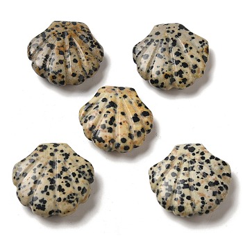 Natural Dalmatian Jasper Carved Healing Shell Figurines, Reiki Energy Stone Display Decorations, 30~30.5x30x8~8.5mm