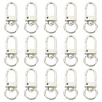 10Pcs Alloy Swivel Clasps, Lanyard Push Gate Snap Clasps, Platinum, 33x13x5mm, Hole: 10x7mm(PURS-CJ0001-01)