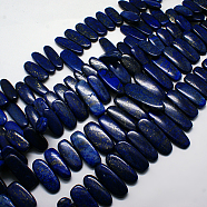 Natural Gemstone Pendants Lapis Lazuli Graduated Beads Strands, Dark Blue, 16~42x10~18x5~8mm, Hole: 1mm, about 15.7 inch(G-F129-A-02)