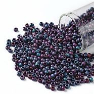 TOHO Round Seed Beads, Japanese Seed Beads, (705) Matte Color Frost Iris Blue, 8/0, 3mm, Hole: 1mm, about 222pcs/bottle, 10g/bottle(SEED-JPTR08-0705)