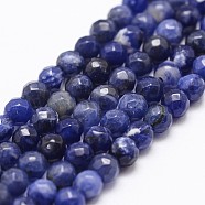 Natural Sodalite Beads Strands, Grade A, Faceted, Round, 4mm, Hole: 1mm, about 90pcs/strand, 14.9 inch~15.1 inch(X-G-D840-19-4mm)