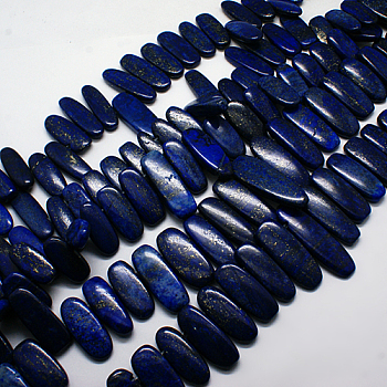 Natural Gemstone Pendants Lapis Lazuli Graduated Beads Strands, Dark Blue, 16~42x10~18x5~8mm, Hole: 1mm, about 15.7 inch