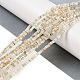 Natural Freshwater Shell Beads Strands(BSHE-H109-13A)-2