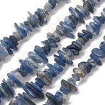 Natural Kyanite/Cyanite/Disthene Chip Beads Strands, 5~14x2~8mm, Hole: 1mm, about 15.5 inch~16.1 inch(X-G-E271-78)