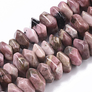 Natural Rhodonite Beads Strands, Nuggets, Faceted, 9.5~11x6~7mm, Hole: 1.2mm, about 30~32pcs/strand, 7.48 inch(19cm)(G-R462-20)